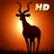 Deer Hunter African Safari v1.0.4 (Full Game) apk Data