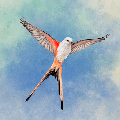 Wingspan: The Board Game v1.7.941 (MOD) apk